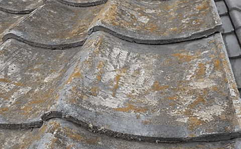 経年劣化によるものなのか、自然災害によるものなのかを判別する必要がある